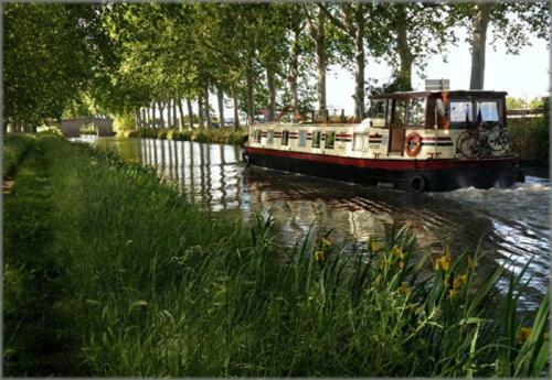 Le Prieure - Studios Jusqu'A 4 Personnes Villeneuve-les-Beziers ภายนอก รูปภาพ